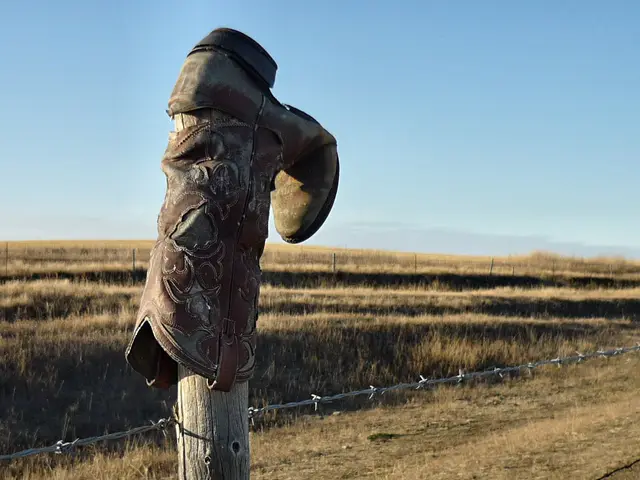 Cowboy boot on a fence post