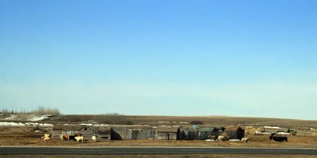 Farm buildings and cattle along the highway