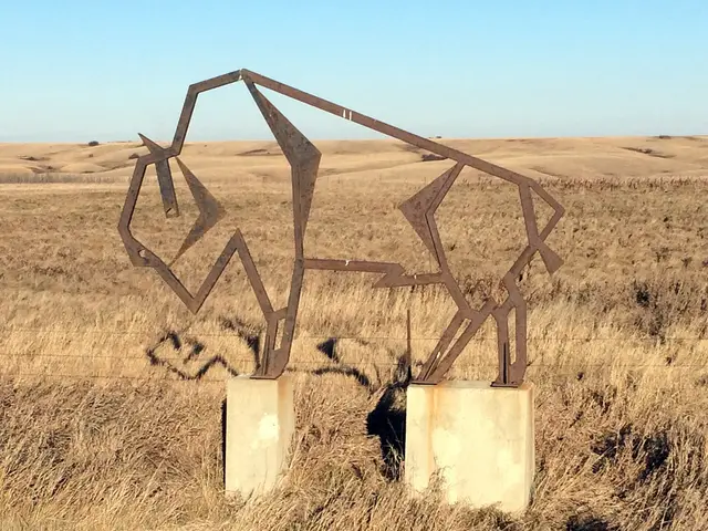 Metal buffalo sculpture beside Highway 11 on the prairie